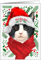 Tuxedo Cat Ho Ho Ho...