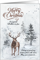 for Brother in Law on Christmas Reindeer in a Snowy Forest card