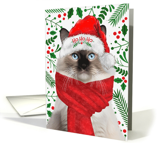 Ragdoll Cat Ho Ho Ho Santa Hat Meowy Christmas Kitty card (1752230)
