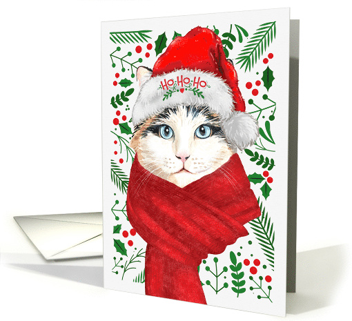 Ragdoll Cat Ho Ho Ho Santa Hat Meowy Christmas Kitty card (1752230)