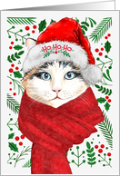 Ragdoll Cat Ho Ho Ho Santa Hat Meowy Christmas Kitty card