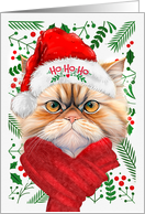 Peke Persian Cat Ho Ho Ho Santa Hat Meowy Christmas Kitty card