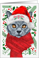 Russian Blue Cat Ho Ho Ho Santa Hat Meowy Christmas Kitty card