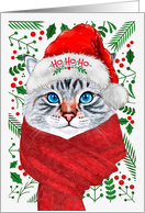 Gray Longhaired Tabby Cat Ho Ho Ho Santa Hat Meowy Christmas card