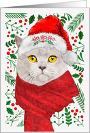 British Shorthair Cat Ho Ho Ho Santa Hat Meowy Christmas Kitty card