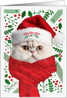 White Persian Cat Ho Ho Ho Santa Hat Meowy Christmas Kitty card