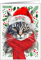 Maine Coon Cat Ho Ho Ho Santa Hat Meowy Christmas Kitty card