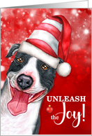 Unleash the Joy Staffordshire Terrier Christmas Dog card