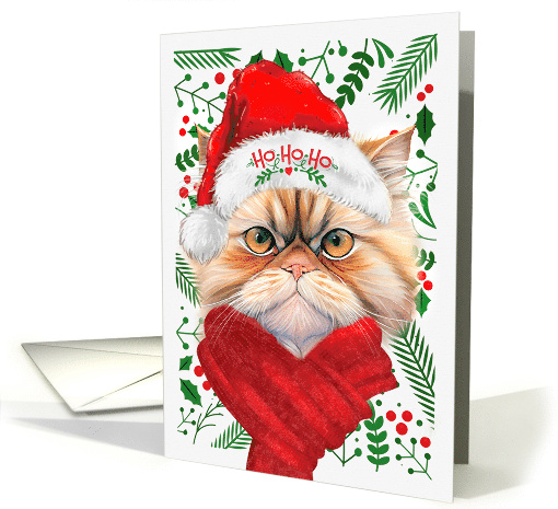 From the Cat Orange Persian Ho Ho Ho Santa Hat Meowy Christmas card