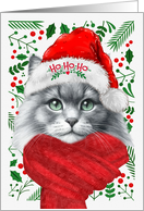 Long Haired Gray and White Cat Meowy Christmas card