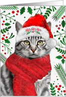 From the Cat Short Haired Gray Tabby Meowy Christmas