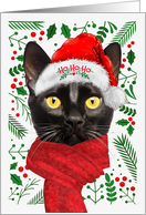 Black Burmese Cat From the Cat Meowy Christmas card