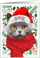 Gray British Shorthair From the Cat Meowy Christmas card