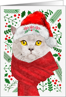 From the Cat British Shorthair Meowy Christmas card