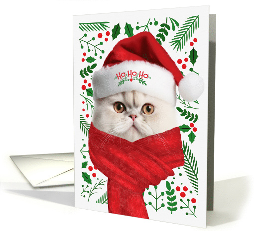White Persian From the Cat Meowy Christmas card (1752608)