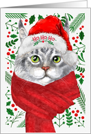 From the Cat Maine Coon Meowy Christmas card