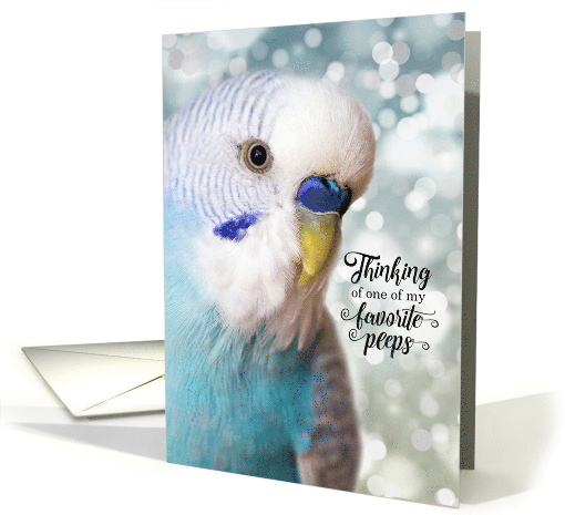 Thinking of You Blue Parakeet and Bokeh Favorite Peeps card (1754174)