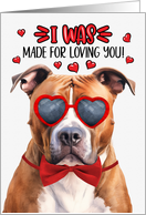 Valentine’s Day American Pit Bull Dog Made for Loving You card