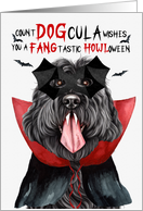 Black Russian Terrier Dog Funny Halloween DOGcula card