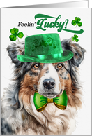 St Patrick’s Day Australian Shepherd Dog Feelin’ Lucky Clovers card