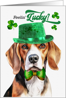 St Patrick’s Day Beagle Dog Feelin’ Lucky Clovers card