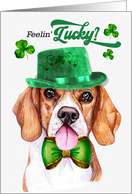St Patrick’s Day Beagle Dog Feelin’ Lucky Clovers card