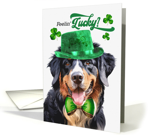 St Patrick's Day Bernese Mountain Dog Feelin' Lucky Clovers card