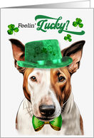 St Patrick’s Day Bull Terrier Dog Feelin’ Lucky Clovers card