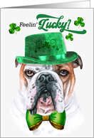 St Patrick’s Day English Bulldog Feelin’ Lucky Clovers card