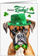 St Patrick’s Day Boxer Dog Feelin’ Lucky Clovers card