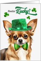 St Patrick’s Day Longhaired Chihuahua Dog Feelin’ Lucky Clovers card