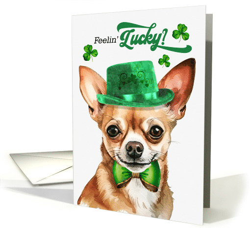 St Patrick's Day Tan Chihuahua Dog Feelin' Lucky Clovers card