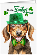 St Patrick’s Day Dachshund Dog Feelin’ Lucky Clovers card