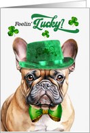 St Patrick’s Day Tan French Bulldog Feelin’ Lucky Clovers card