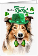 St Patrick’s Day Collie Dog Feelin’ Lucky Clovers card