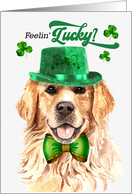 St Patrick’s Day Golden Retriever Dog Feelin’ Lucky Clovers card