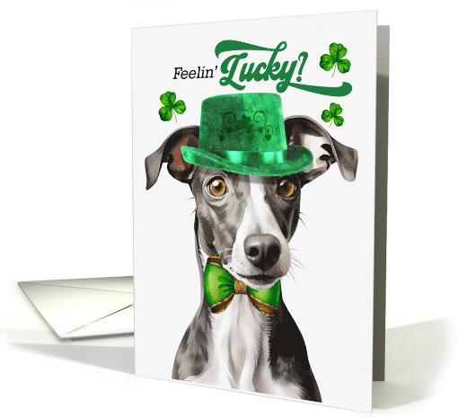 St Patrick's Day Greyhound Dog Feelin' Lucky Clovers card (1756194)