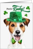 St Patrick’s Day Rough Jack Russell Terrier Dog Feelin’ Lucky Clovers card