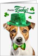 St Patrick’s Day Jack Russell Terrier Dog Feelin’ Lucky Clovers card