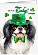 St Patrick’s Day Japanese Chin Dog Feelin’ Lucky Clovers card