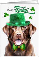 St Patrick’s Day Chocolate Lab Dog Feelin’ Lucky Clovers card