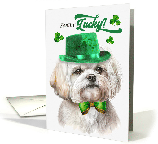 St Patrick's Day Maltese Dog Feelin' Lucky Clovers card (1756338)