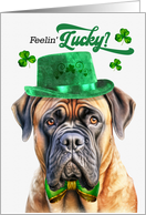 St Patrick’s Day Mastiff Dog Feelin’ Lucky Clovers card