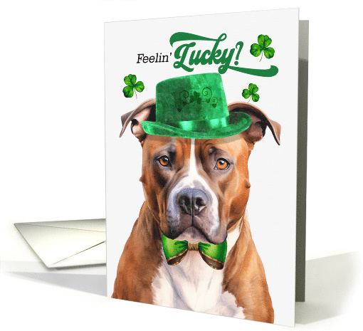 St Patrick's Day American Pit Bull Dog Feelin' Lucky Clovers card