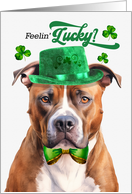 St Patrick’s Day American Pit Bull Dog Feelin’ Lucky Clovers card