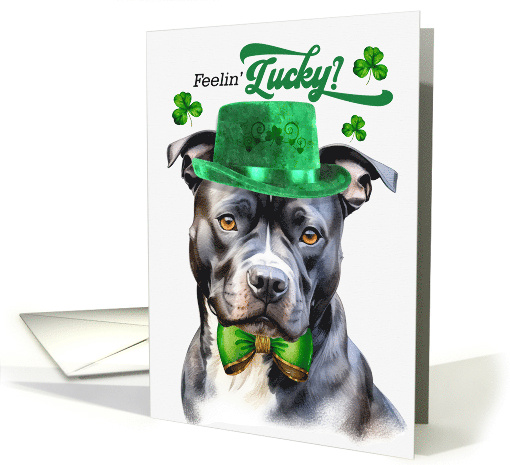 St Patrick's Day Gray Pit Bull Dog Feelin' Lucky Clovers card