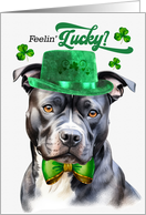 St Patrick’s Day Gray Pit Bull Dog Feelin’ Lucky Clovers card