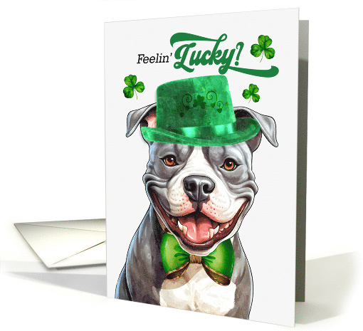 St Patrick's Day Gray Staffordshire Terrier Dog Feelin'... (1756378)