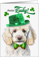 St Patrick’s Day Standard Poodle Dog Feelin’ Lucky Clovers card
