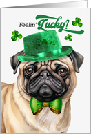 St Patrick's Day Pug...